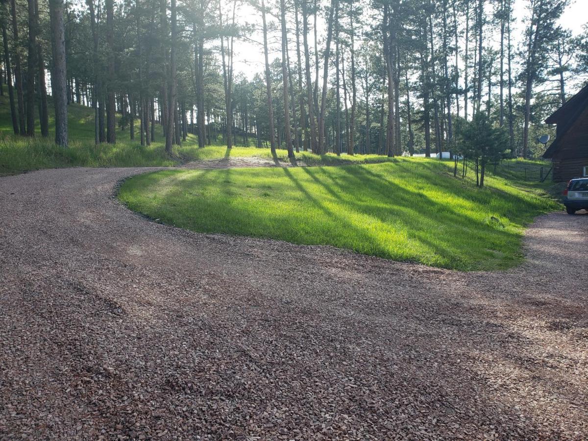 היל סיטי Mickelson Trail Treehouse Suite In The Heart Of The Beautiful Black Hills מראה חיצוני תמונה